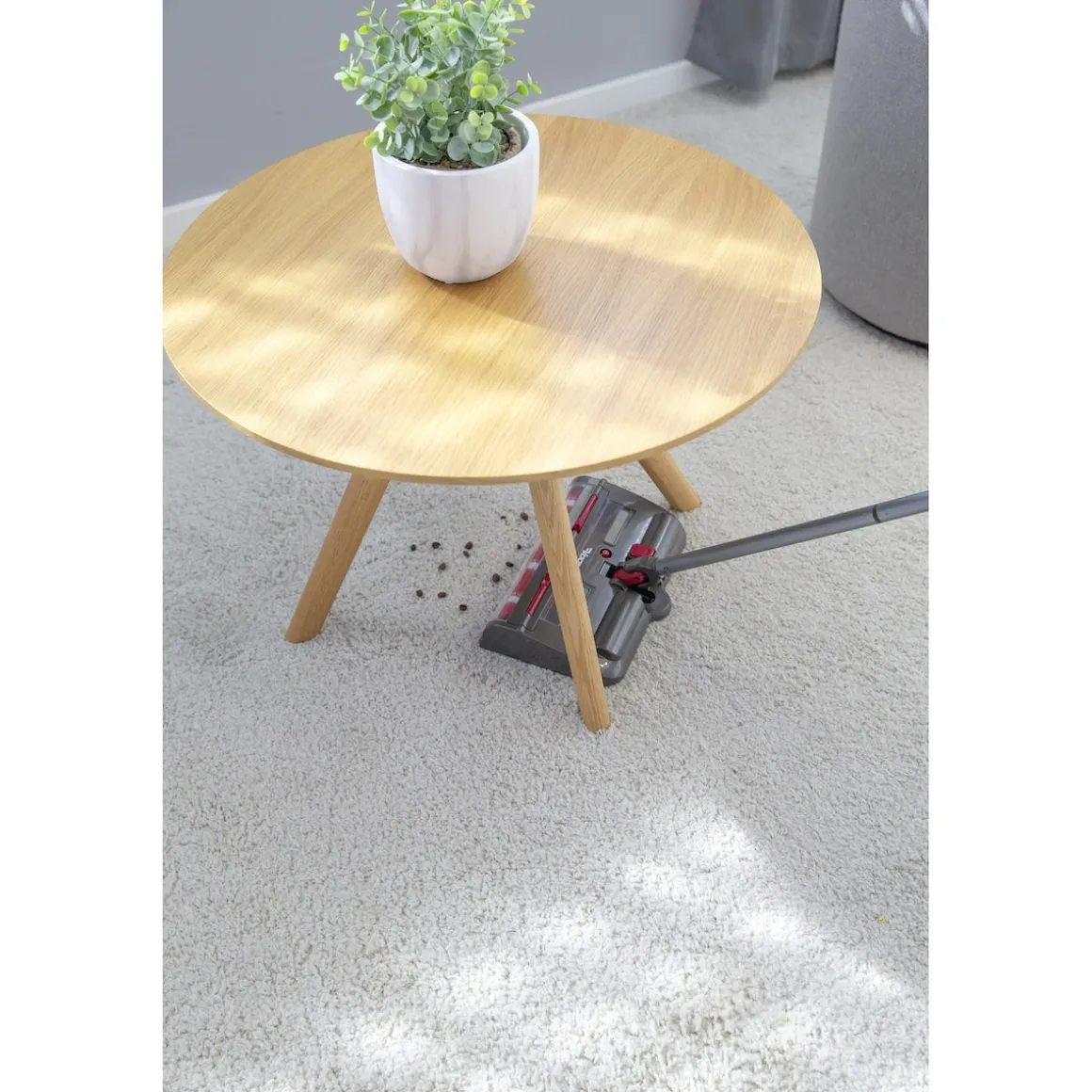 Akku-Kehrbesen "Livington Voom"