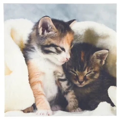 Anti-Rutsch-Auflage Kätzchen