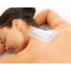 Bambus-Pflaster Bambus, 10 Stück