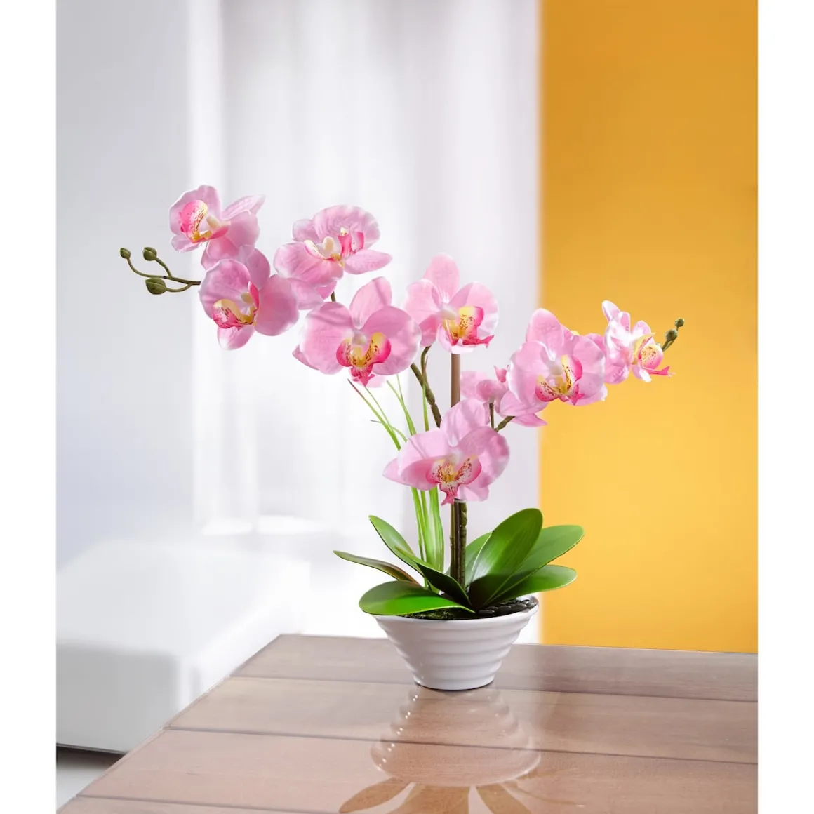 Deko-Traum "Orchidee"