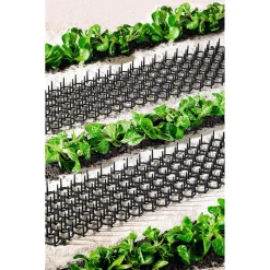 Dornengitter, 2 Stück