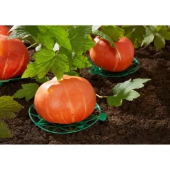 Gemüse-Reifer, 10 Stück