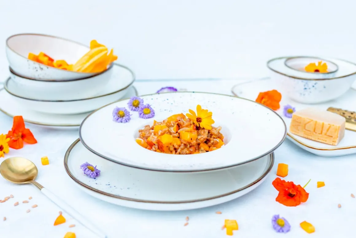 Gourmetteller Set, Porzellan Pintar Beige / Braun