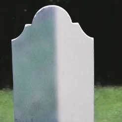 Grünbelagentferner, 650 ml