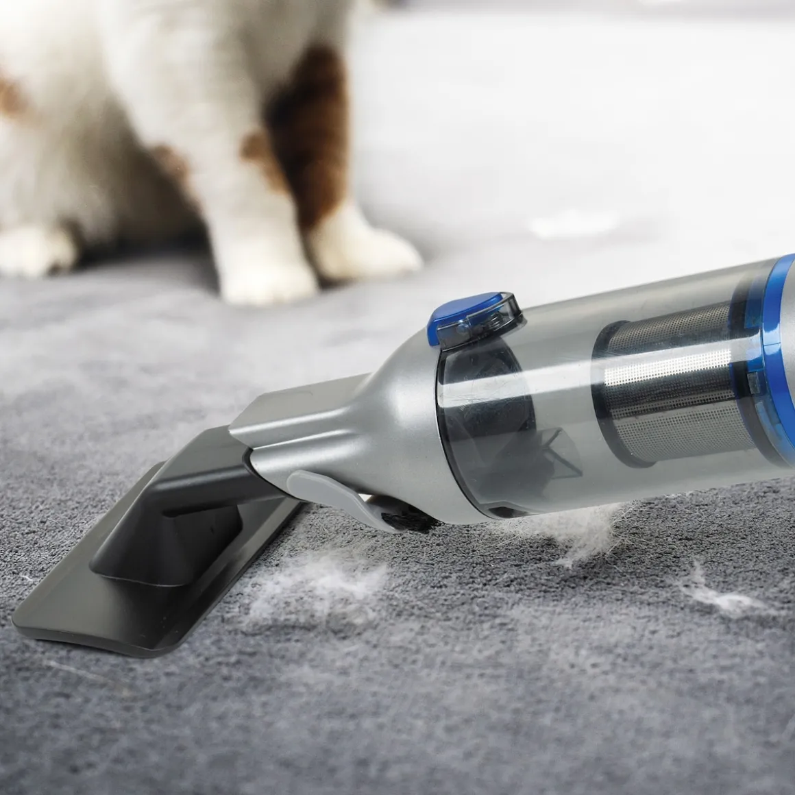 Hand und Bodenstaubsauger "Invictus One 2.0"