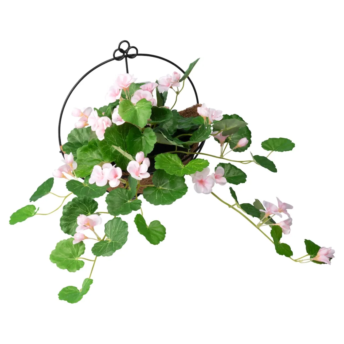 Hängegeranie im Metallgestell rosa