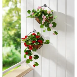 Hängegeranie im Metallgestell rot