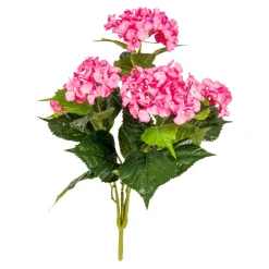 Hortensienbusch "XXL"