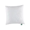 Kissen Klima Active Plus 080x080