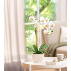Kunstpflanze "Weiße Orchidee"