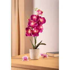 LED-Orchidee