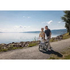 Rollator Olympos ATR M, faltbar, mit Tasche silber