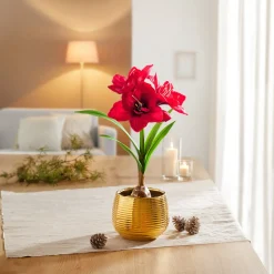 Set aus Kunstblume „Amaryllis“ + Übertopf "Elegant"