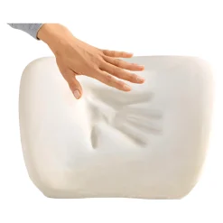 Sitz- und Lendenkissen 