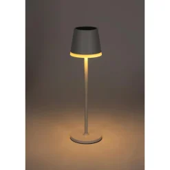 Solar-Gartenstecker 2 in 1