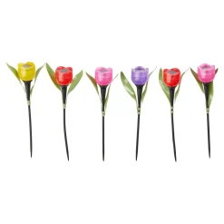 Solar-Tulpen "Kunterbunt", 6 Stück