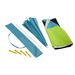 Sonnenschirm-Muschel 