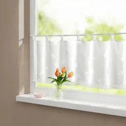 Transparent-Bistrogardine 