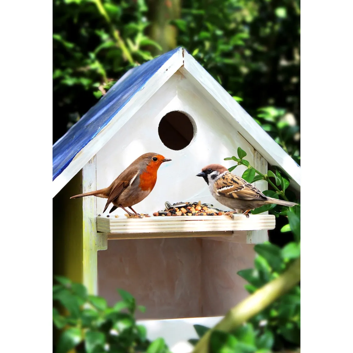 Wildvogelfutter, 1 kg