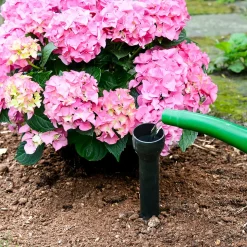 Wurzelgießer, 3 Stück